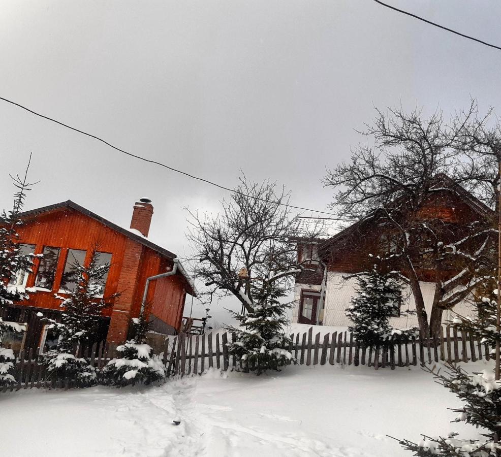 Hotel Cabana Colnic Măgura Exterior foto